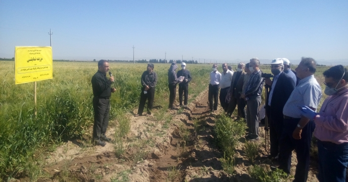 برگزاری روز ملی مزرعه