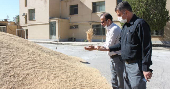  بازدید رئیس مرکز تحقیقات و آموزش کشاورزی و منابع طبیعی از سایت بوجاری استان