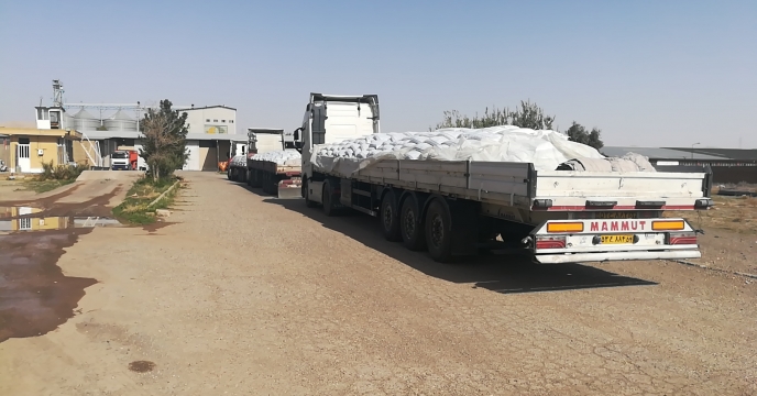 حمل مستقم کود شیمیایی اوره
