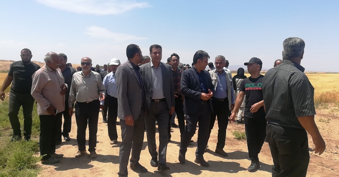 بازدید دكتر خیام نكویی معاون وزیر از مزرعه نمایشی گلرنگ