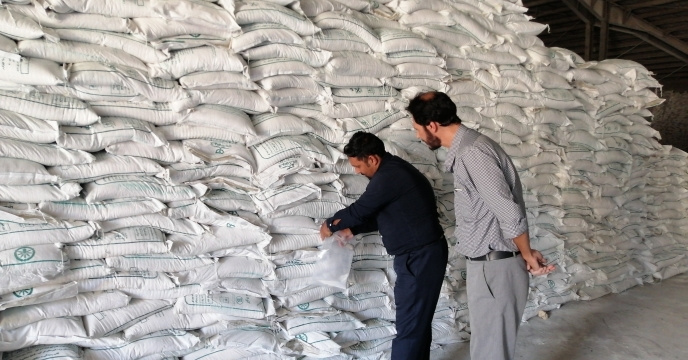 نمونه برداری از کود سولفات پتاسیم پودری در کرمان