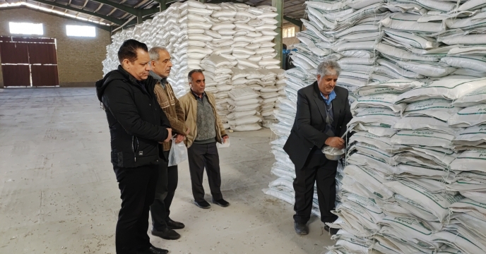 نمونه برداری از کود سولفات پتاسیم پودری شرکت معین کانساران طوس 