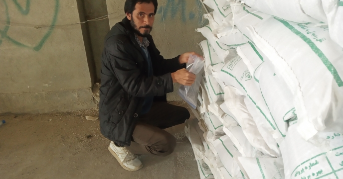 نمونه برداری از کود کلرورپتاسیم گرانوله در انبار سازمانی واقع در شهرستان سیرجان در اسفند ماه سال جاری 