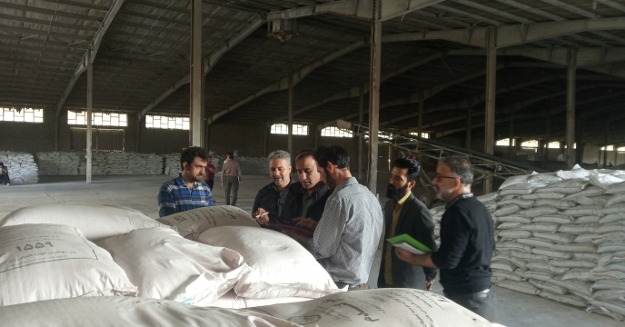آغاز انبار گردانی پایان سال 1402 در انبار مرکزی شرکت خدمات حمایتی کشاورزی استان کرمان