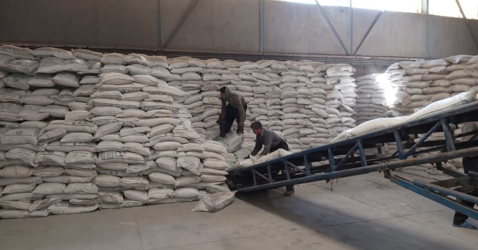 توزیع 15 تن کود سولفات پتاسیم پودری تولیدی شیمی اکسیر بوستان به انبار کلیه کارگزاران  شهرستان سمیرم