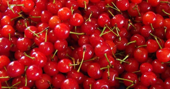 توزیع۱۰ تن کود یارانه ای برای  باغ آلیالو در شش ماهه سال۱۴۰۴