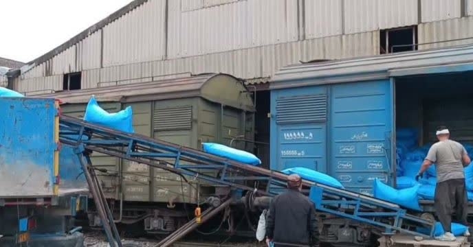 توزیع مقدار۱۴ تن کود کشاورزی یارانه ای اوره برای مصرف مزارع نخود استان گلستان‌درشش ماهه سال جاری