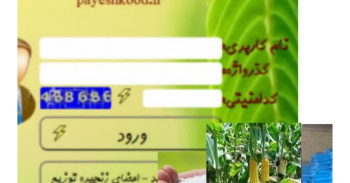 توزیع مقدار۸۹۶ تن‌‌کود یارانه ای برای مصرف مزارع  ذرت علوفه ای در شش ماهه سال جاری
