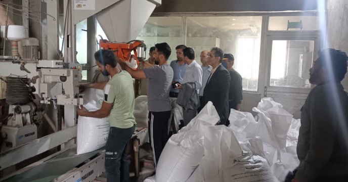 بازدید مدیر شرکت خدمات حمایتی کشاورزی استان گلستان. از روند بوجاری بذر گندم