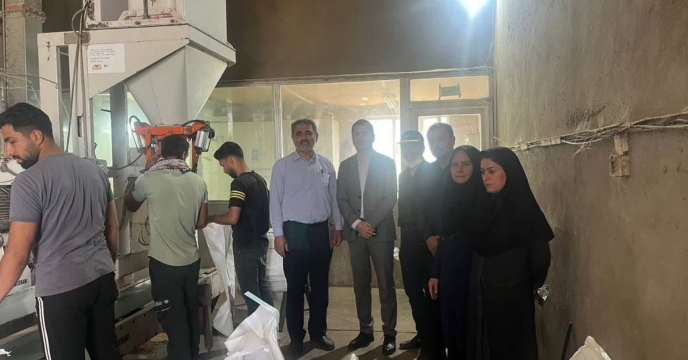بازدید از فرآیند بوجاری و فرآوری بذر گندم  با حضور تعدادی از اعضای کمیته فنی بذر استان