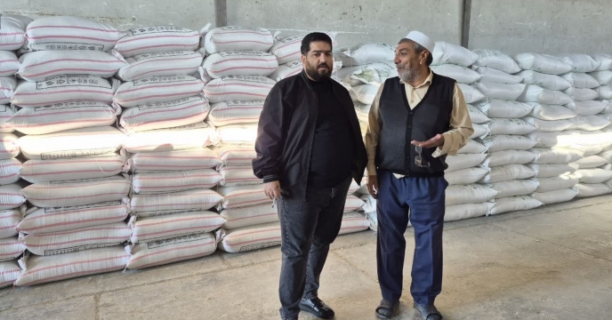 پایش از کارگزاری‌ کود تعاونی ملانفس در شهرستان بندر ترکمن 