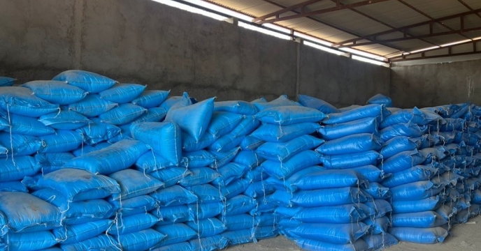 حمایت از کشاورزان جنوب کرمان؛ تامین میزان 5300 تن کود اوره در دی ماه 1404