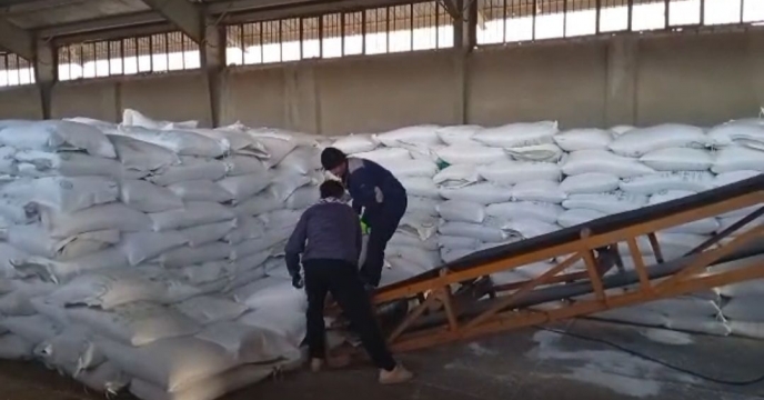 توزیع کود فسفات در 9 ماهه سال جاری در شهرستان لیکک بهمئی استان کهگیلویه و بویراحمد