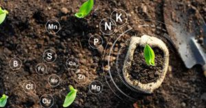 مدیر شرکت خدمات حمایتی کشاورزی گلستان تاکید کرد : ضرورت استفاده کشاورزان از کودهای معتبر و استاندارد