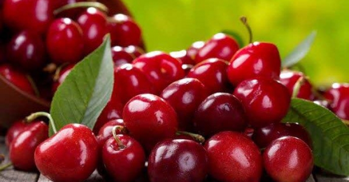 در ده ماهه سال جاری، مقدار۱۰ تن کود ازت وپتاس در اختیار باغداران آلبالو قرار گرفته است