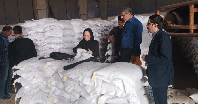 نمونه برداری از۴ پارت بذر بوحاری شده  گندم در انبار قرق گلستان