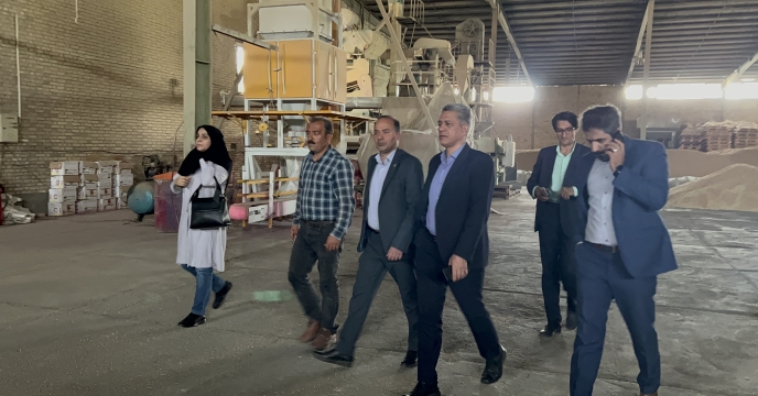 بازدید رئیس سازمان جهاد کشاورزی استان سمنان از انبار ذخیره سازی گندم های بذری