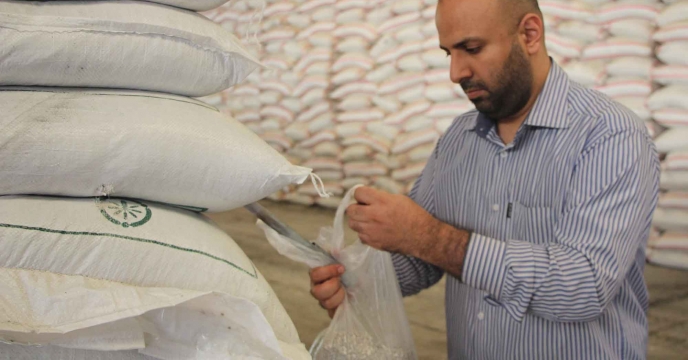 اجرای فرآیند کنترل و کیفی نمونه برداری از کود سوپر فسفات تریپل در انبار مرکزی رشت گیلان