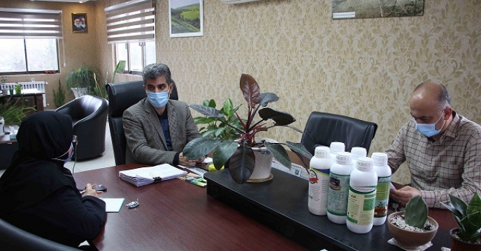 برگزاری جلسه شورای معاونین در شرکت خدمات حمایتی کشاورزی استان گیلان