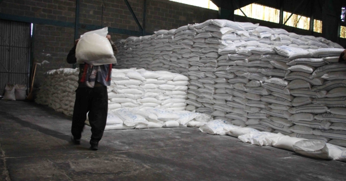 افزایش کیفیت محصولات با توزیع کودهای حیاتی در شهرستان تالش