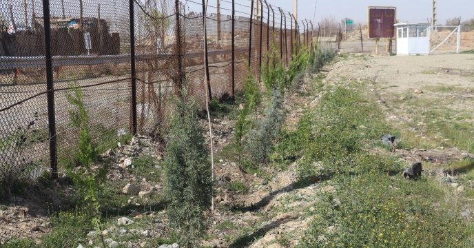 درختکاری در انبار مرکزی