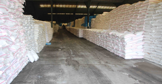 از مزایای کود ازت تا پتاس؛ حمایت همه‌جانبه از کشاورزان صومعه‌سرا