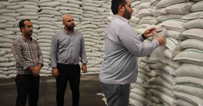 اجرای فرآیند کنترل و کیفی نمونه برداری از کود سولفات پتاسیم پودری در انبار مرکزی رشت گیلان