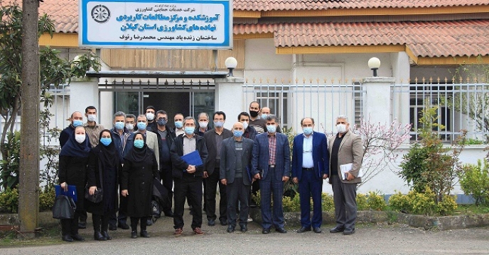 برگزاری آئین تکریم از همکاران بازنشسته شرکت خدمات حمایتی کشاورزی استان گیلان