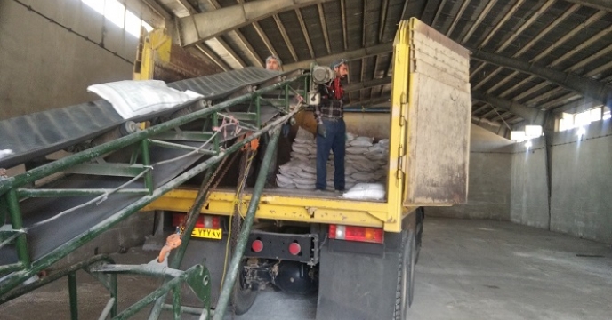 تامین و توزیع بیش از 439 تن نهاده کشاورزی در شهرستان سلطانیه در جهت حمایت از کشاورزان استان 