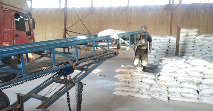 تامین و توزیع 186 تن انواع کود کشاورزی به کارگزاری های شهرستان خرمدره توسط شرکت خدمات حمایتی کشاورز استان زنجان