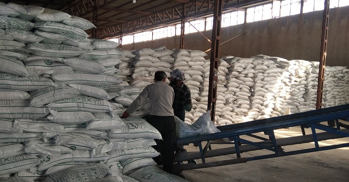 توزیع بیش از 36 هزار تن کود اوره از ابتدای سال جاری تا پایان آبان توسط شرکت خدمات حمایتی کشاورزی استان زنجان  