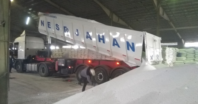 تأمین و توزیع ۱۰ هزار تن کود کشاورزی در شهرستان اسدآباد توسط شرکت خدمات حمایتی کشاورزی استان همدان