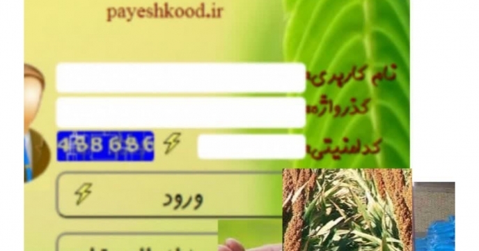 توزیع  مقدار۵ تن کود کشاورزی یارانه ای اوره برای  مصرف مزارع  سورگوم علوفه ای گلستان در چهار ماهه سال۱۴۰۴