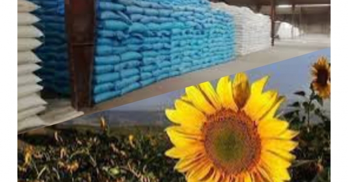 توزیع  مقدار تقریبی ۳۱۵ تن  انواع کود کشاورزی یارانه ای برای مصرف مزارع آفتابگردان در چهار ماهه سال۱۴۰۴