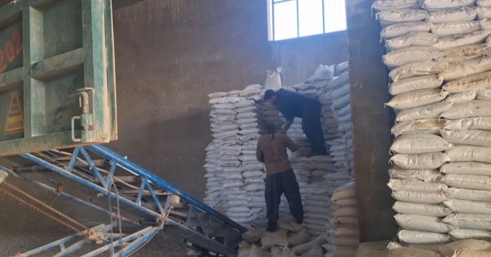 تحویل کود کشاورزی مورد نیاز کشاورزان استان کهگیلویه و بویراحمد به کارگزاران جهت توزیع