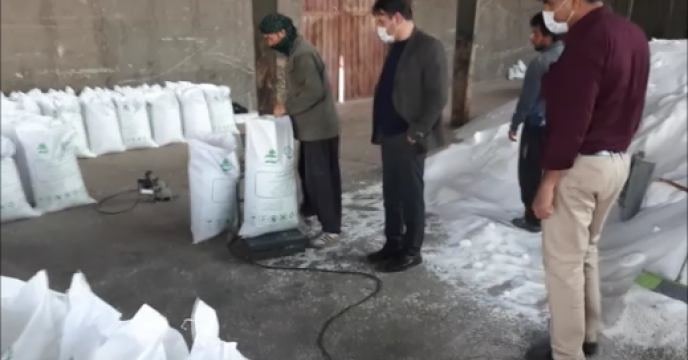 بازدید از کیسه گیری کودهای فله در انبار کارگزاران