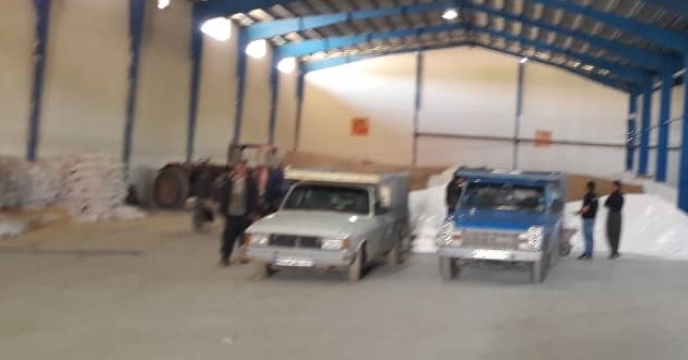 پایش کودی در شهرستان مهاباد