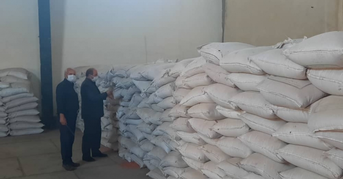 بازدید از گندم سنواتی در استان اردبیل