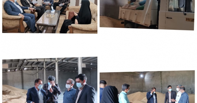دیدار امروز مهندس اشکانی مدیر محترم زراعت سازمان و دکتر سارانی مدیر محترم جهاد کشاورزی شهرستان نیمروز 
