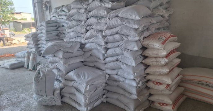 فعالیت 141 کارگزار تعاونی روستایی تحت پوشش شرکت خدمات حمایتی کشاورزی در مازندران