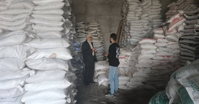 تامین و توزیع 111  تن  کودکشاورزی  یارانه ای  اوره در شهرستان چالوس  انجام شد