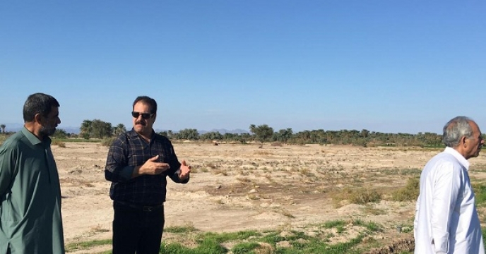 بازدید از مزارع تولید بذر گندم شهرستان دلگان منطقه چاهشور انجام شد 