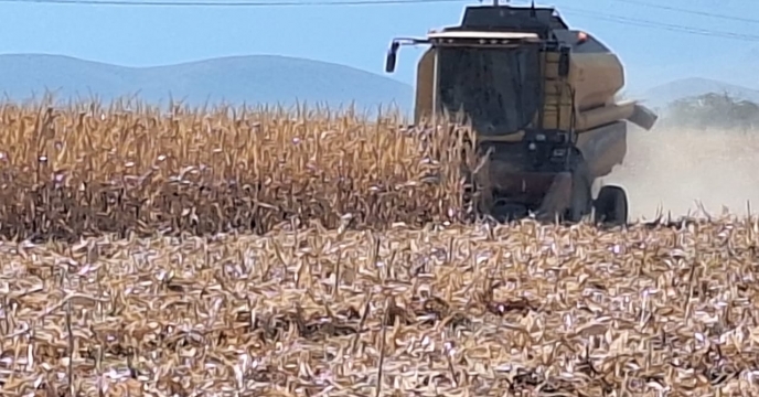 بیش از ۴ هزار تن نهاده در شهرستان حاجی آباد استان هرمزگان از ابتدای سال تاکنون توزیع شد