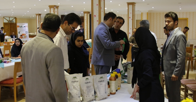 گرمترین روز های سال مانع حمایت شرکت خدمات حمایتی کشاورزی از رونق تولید نشد 