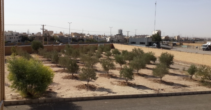 آبرسانی به درختان استان سمنان