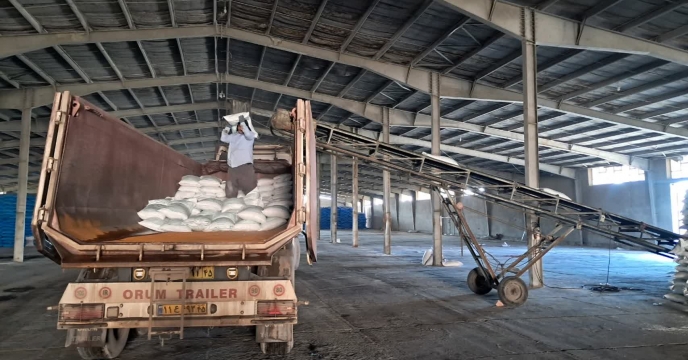 حمایت از کشت گندم و جو در کرمان با صدور ۱۱۷۶ حواله الکنرونیکی