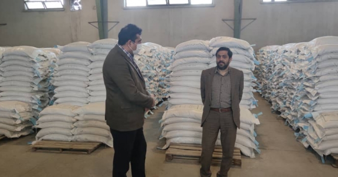 بازدید مدیر فنی و بهبود کیفیت بذر و نهال شرکت خدمات حمایتی کشاورزی