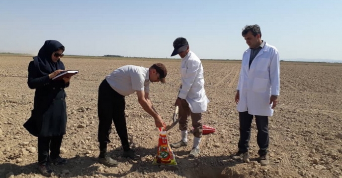 نمونه برداری خاک و آب از مزارع طرح الگویی تغذیه گیاهی 