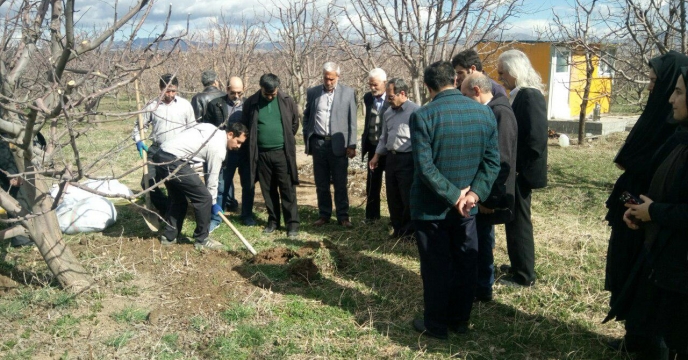 کلاس عملی چالکود درختان میوه در شهرستان اهر