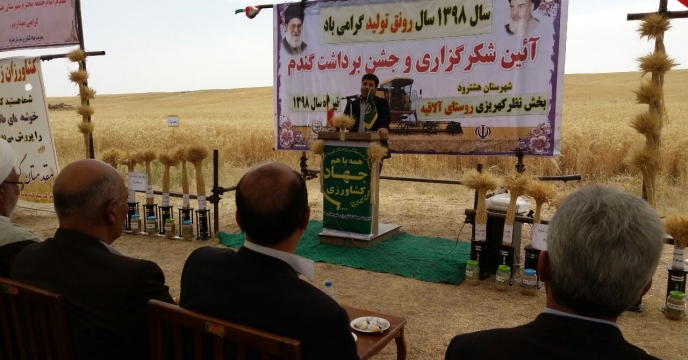آئین شکرگزاری و جشن برداشت گندم در شهرستان هشترود بخش نظرکهریزی روستای آلاقیه
